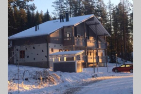 Levi etelärinne huoneisto
